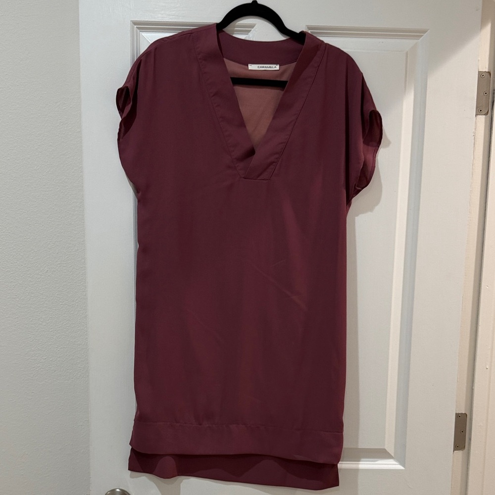 Elegant V-Neck mini /shift Dress in Mauve
